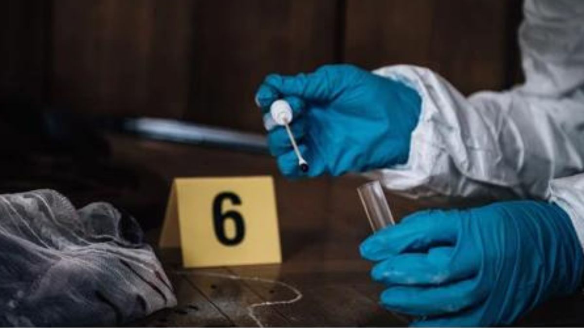 Forensic Investigations