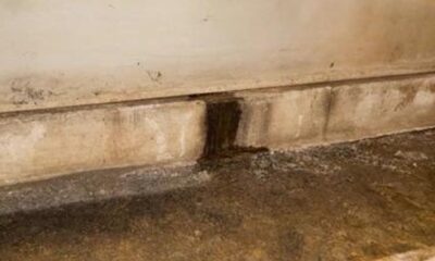 Leaking Foundation