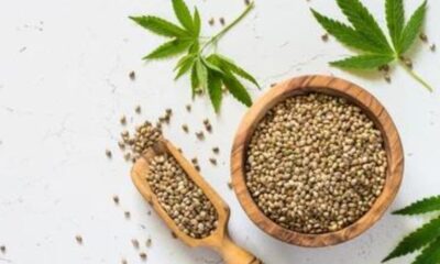 Organic CBD Seeds