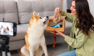 Canine Handler NYT Crossword