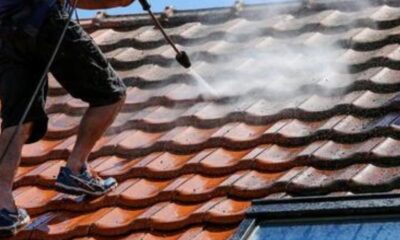 Clean a Roof