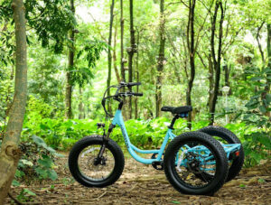 The Best Value Fat Tire Electric Trike of 2024