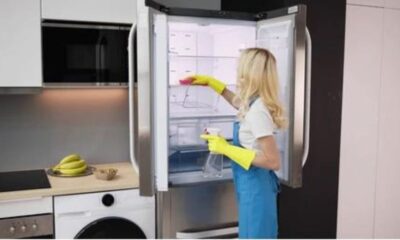 Cleaning Your Refrigerator