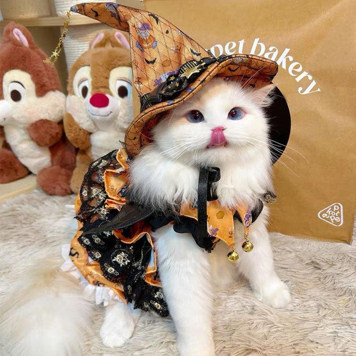 Halloween Cat Cosplay