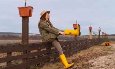 Split Rail Fences