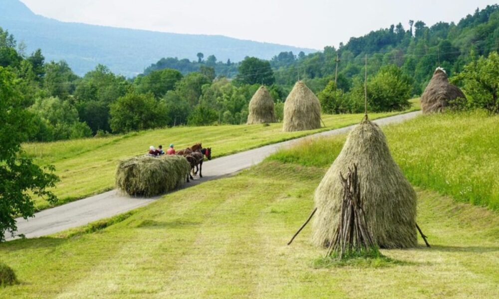 Va Roes 946 tomahawk run rd. hedgesville w.va. 25427: A Rural Haven
