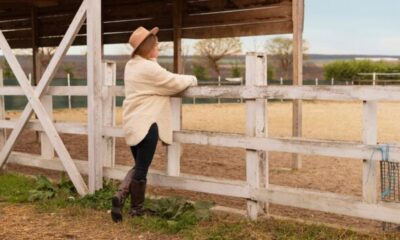 Horse Fence