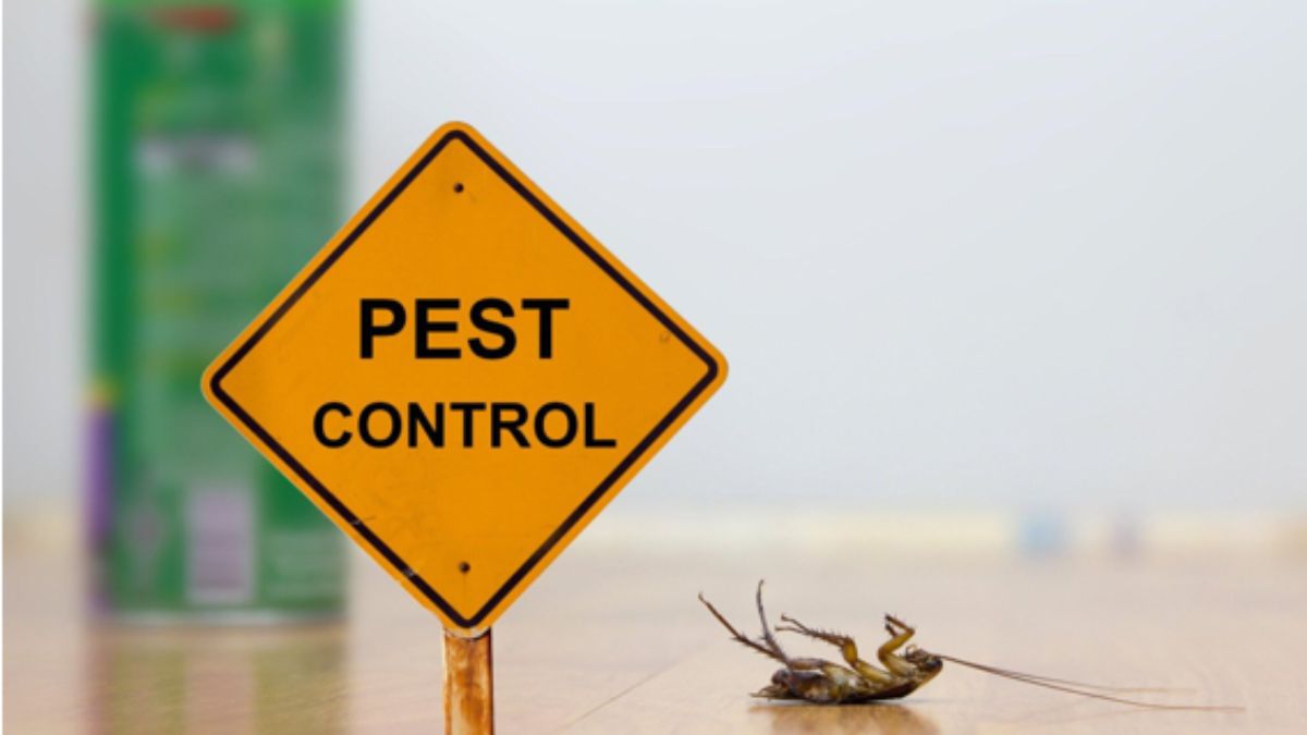 Pest Control