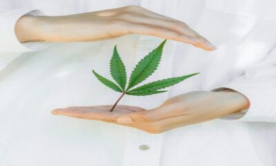 Cannabis Extracts
