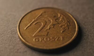 lotri-zlotriz.com