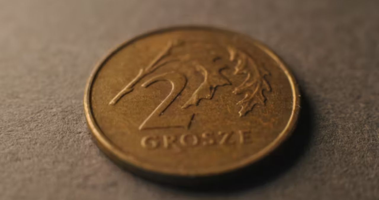 lotri-zlotriz.com