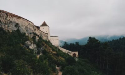 Predovac