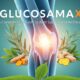 Glucosamax